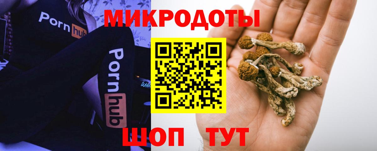 Галлюциногенные грибы ЛСД  Галлюциногенные грибы GOLDEN TEACHER  Вход с VPN  Луховицы 